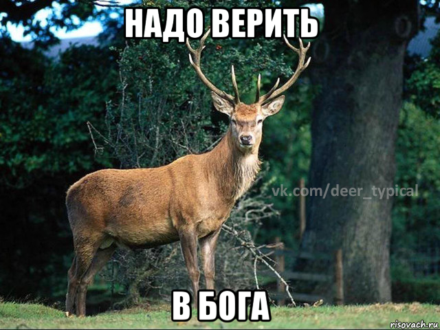 надо верить в бога