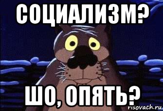 социализм? шо, опять?