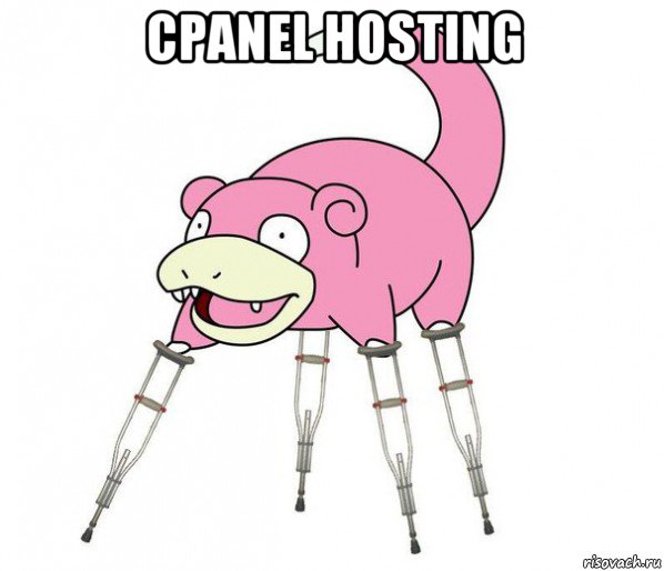 cpanel hosting 