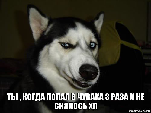 ты , когда попал в чувака 3 раза и не снялось хп, Комикс  Собака подозревака