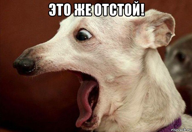 это же отстой! 