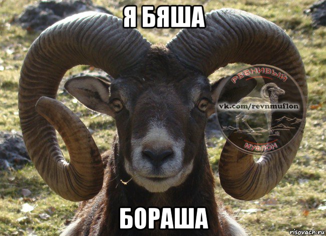 я бяша бораша