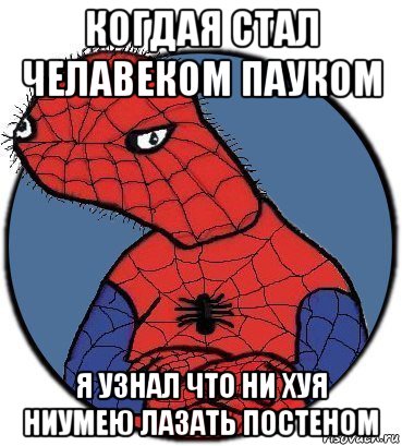 когдая стал челавеком пауком я узнал что ни хуя ниумею лазать постеном, Мем Спудик