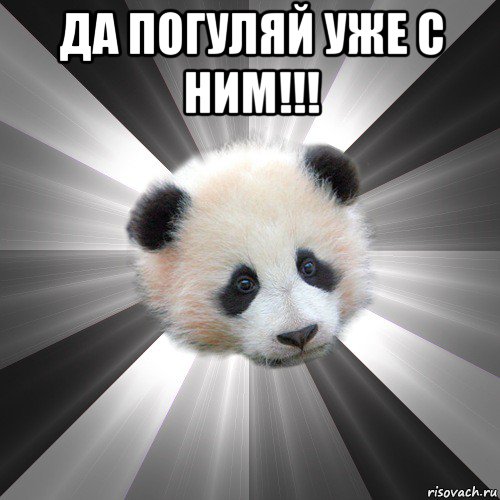 да погуляй уже с ним!!! 