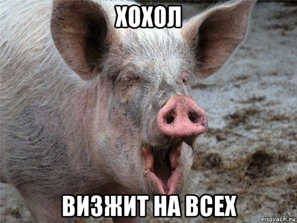 хохол визжит на всех