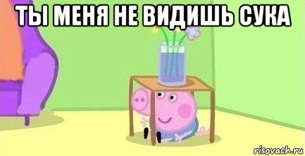 ты меня не видишь сука 