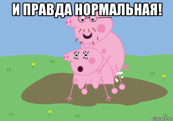 и правда нормальная! 