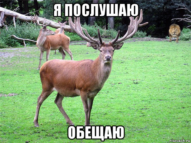 я послушаю обещаю