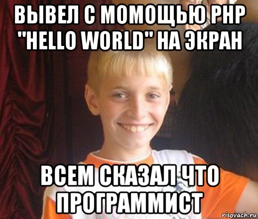 вывел с момощью php "hello world" на экран всем сказал что программист, Мем Типичный школьник