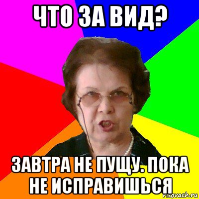 что за вид? завтра не пущу. пока не исправишься, Мем Типичная училка