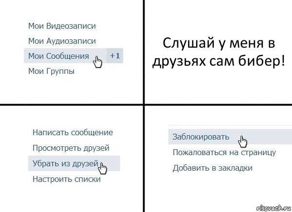 Слушай у меня в друзьях сам бибер!, Комикс  Удалить из друзей