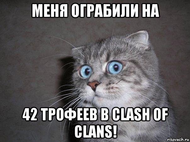 меня ограбили на 42 трофеев в clash of clans!, Мем  удивлённый кот