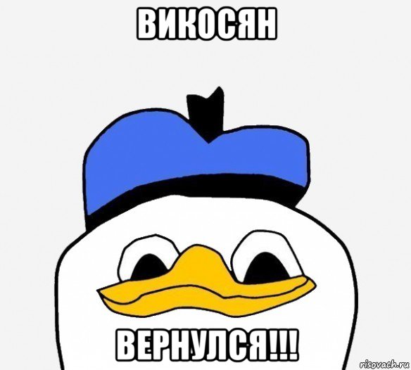 викосян вернулся!!!, Мем Утка