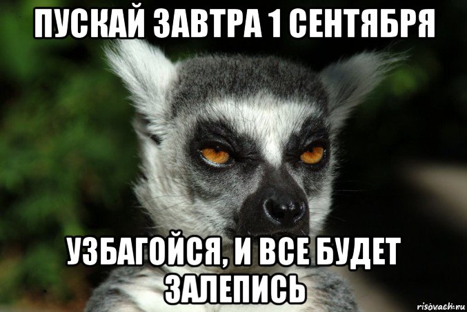 пускай завтра 1 сентября узбагойся, и все будет залепись, Мем   Я збагоен