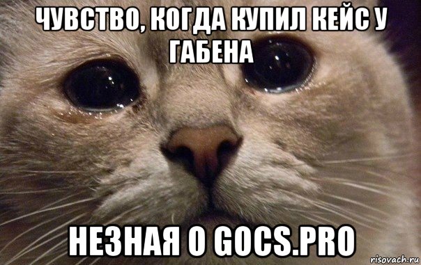 чувство, когда купил кейс у габена незная о gocs.pro, Мем   В мире грустит один котик