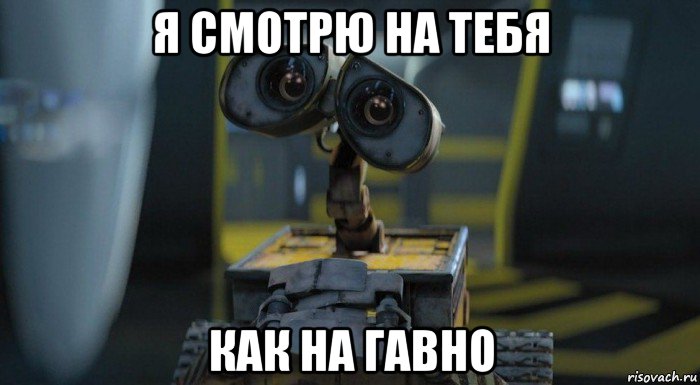 я смотрю на тебя как на гавно