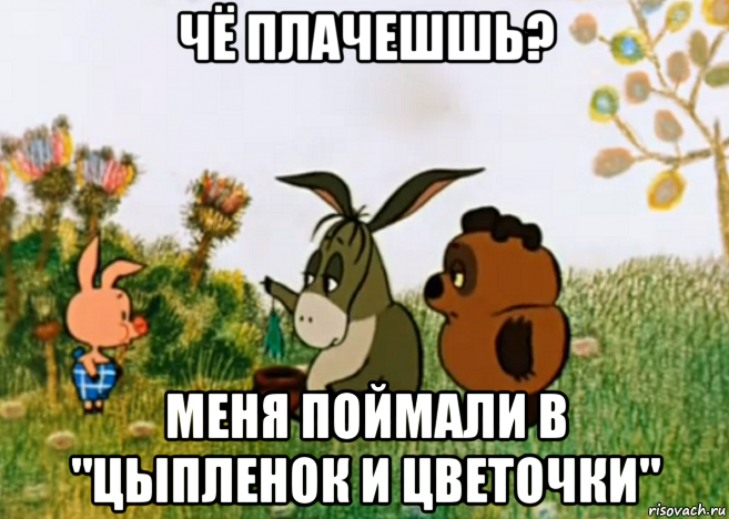 чё плачешшь? меня поймали в "цыпленок и цветочки", Мем Винни Пух Пятачок и Иа