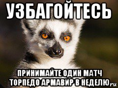 узбагойтесь принимайте один матч торпедо армавир в неделю, Мем Я збагоен