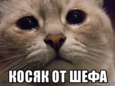  косяк от шефа, Мем зачем ты так чисто обглодал кури