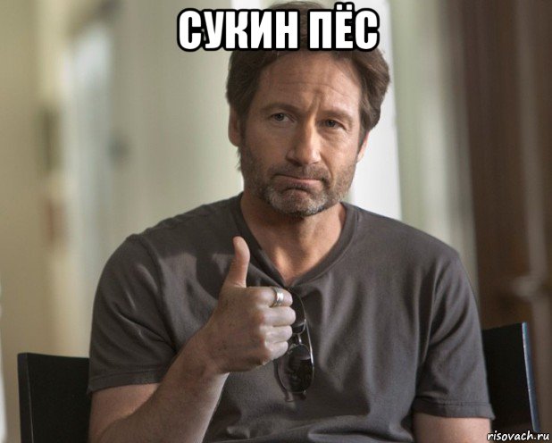 сукин пёс 