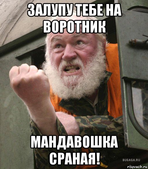 залупу тебе на воротник мандавошка сраная!, Мем Залупу тебе на воротник хуйло