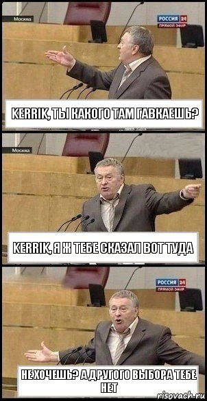 Kerrik, ты какого там гавкаешь? Kerrik, я ж тебе сказал вот туда Не хочешь? А другого выбора тебе нет