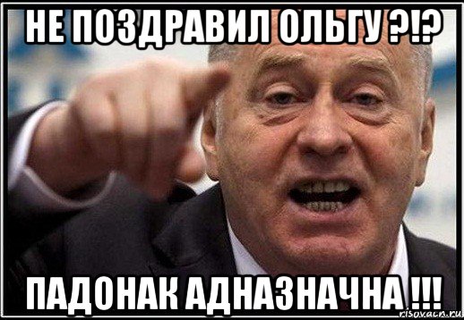 не поздравил ольгу ?!? падонак адназначна !!!, Мем жириновский ты