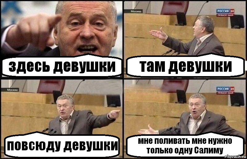 здесь девушки там девушки повсюду девушки мне поливать мне нужно только одну Салиму, Комикс Жириновский