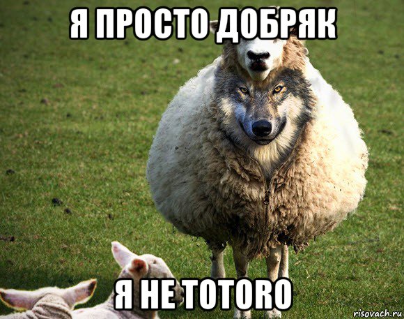 я просто добряк я не totoro, Мем Злая Овца