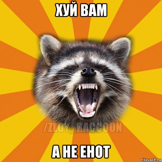 хуй вам а не енот