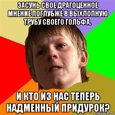 засунь свое драгоценное мнение поглубже в выхлопную трубу своего гольфа. и кто из нас теперь надменный придурок?, Мем Злой школьник