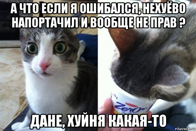 а что если я ошибался, нехуёво напортачил и вообще не прав ? дане, хуйня какая-то, Мем А что если