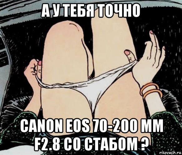 а у тебя точно canon eos 70-200 mm f2.8 со стабом ?, Мем А ты точно