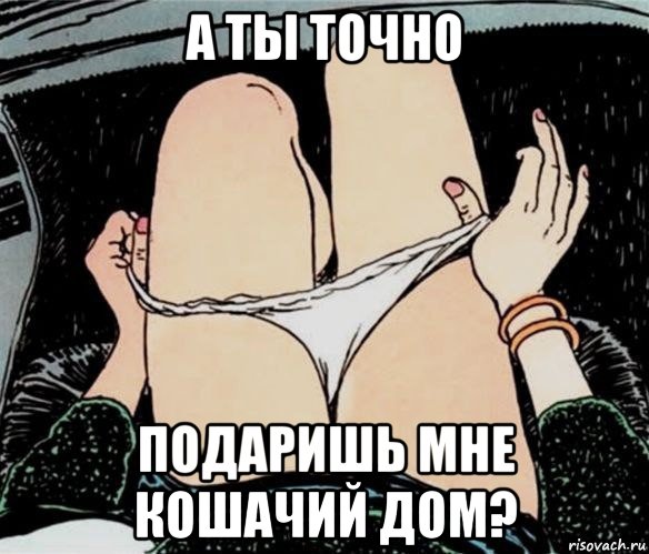 а ты точно подаришь мне кошачий дом?, Мем А ты точно