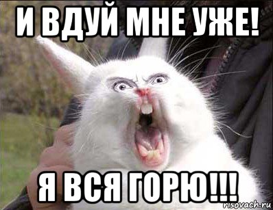 и вдуй мне уже! я вся горю!!!
