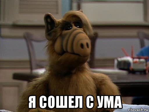  я сошел с ума