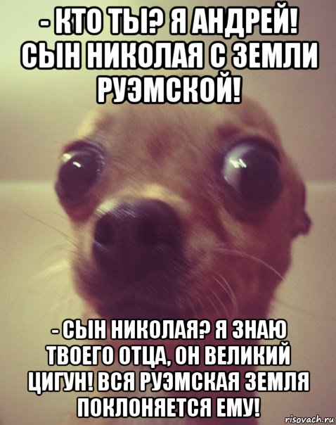 - кто ты? я андрей! сын николая с земли руэмской! - сын николая? я знаю твоего отца, он великий цигун! вся руэмская земля поклоняется ему!, Мем  Аргументный аргумент