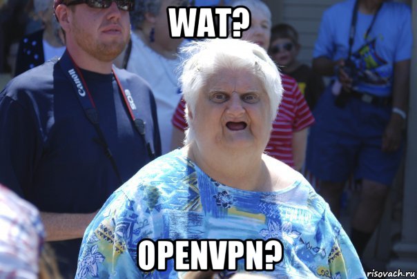 wat? openvpn?, Мем Шта (Бабка wat)