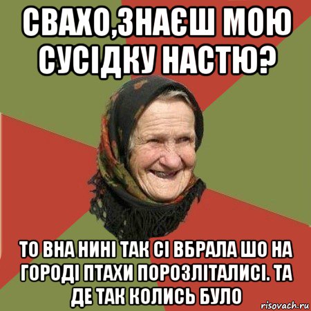 свахо,знаєш мою сусідку настю? то вна нині так сі вбрала шо на городі птахи порозліталисі. та де так колись було, Мем  Бабушка