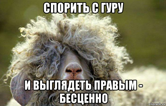 спорить с гуру и выглядеть правым - бесценно