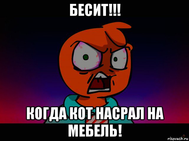 бесит!!! когда кот насрал на мебель!