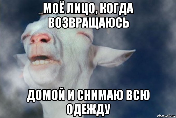 моё лицо, когда возвращаюсь домой и снимаю всю одежду