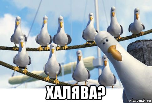  халява?