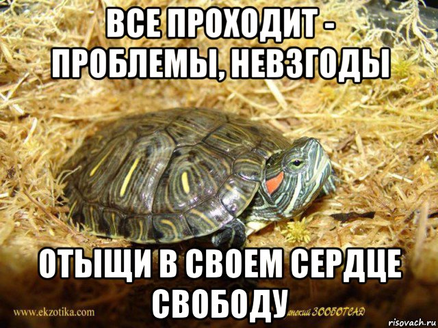 все проходит - проблемы, невзгоды отыщи в своем сердце свободу