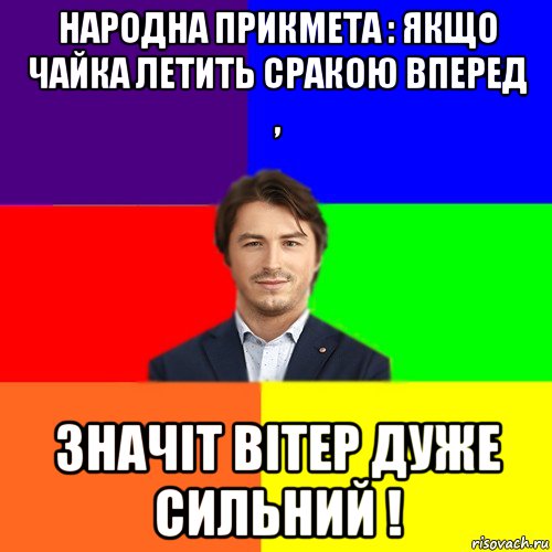 народна прикмета : якщо чайка летить сракою вперед , значіт вітер дуже сильний !