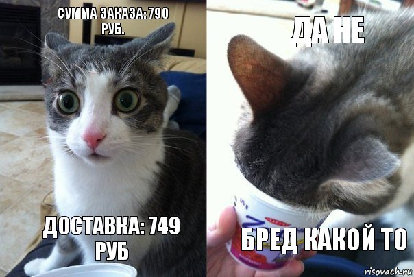 СУММА ЗАКАЗА: 790 РУБ. ДОСТАВКА: 749 РУБ Да не Бред какой то, Комикс  Да не бред какой-то (4 зоны)