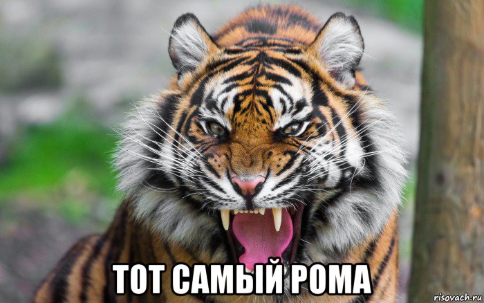  тот самый рома