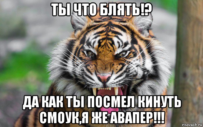 ты что блять!? да как ты посмел кинуть смоук,я же авапер!!!, Мем ДЕРЗКИЙ ТИГР