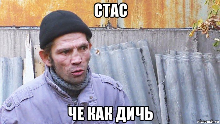 стас че как дичь