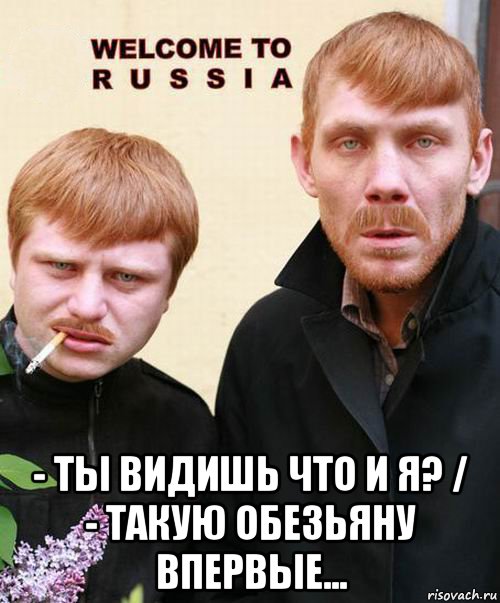  - ты видишь что и я? / - такую обезьяну впервые..., Мем добро пожаловать чувак
